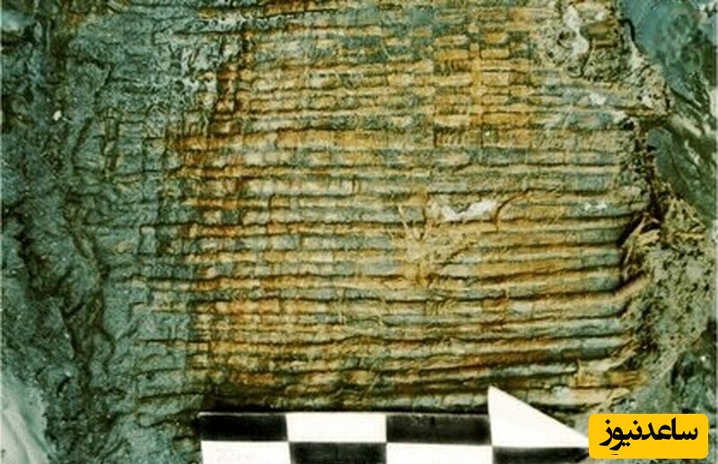 سبد حصیری کشف شده در لاشۀ کشتی که مخصوص حمل غلاتی مثل گندم سیاه بوده است