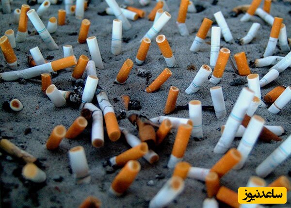 (ویدئو) با میلیاردها ته سیگار چه می کنند؟