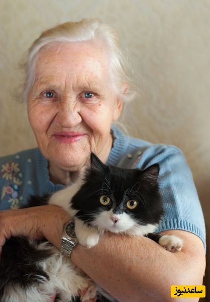 خلاقیت خنده‌دار مادر بزرگ ترکیه‌ای برای نگه داشتن گربه تو خونه به روش نوستالژی حماسه ساز شد/ دمت گرم مادرجون، عالی بود😂