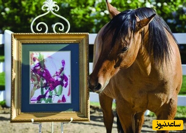 اسبی که هزینه درمان خود را با فروش تابلوهای نقاشیش تامین کرد/ عجایب حیوانات به روایت تصویر