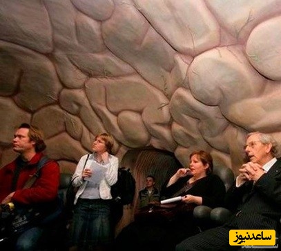 درون بدن انسان