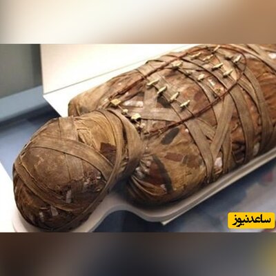راز شگفت انگیز مومیایی تازه کشف شده مصری که زبانش از طلا است+عکس