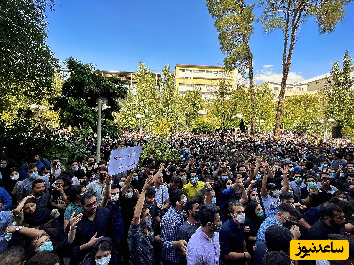 دلسوزی یا باج‌دهی؟ چرا برخی مدیران از تخلف دانشجویان چشم‌پوشی می‌کنند