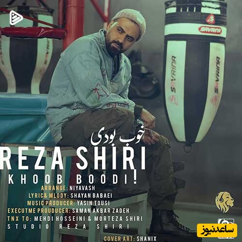 دانلود آهنگ جدید «خوب بودی» از رضا شیری/ خیلی داغونم...