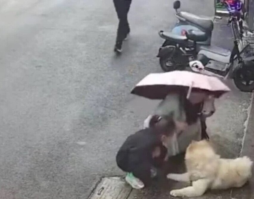 (ویدئو 16+) عاقبت هولناک نوازش یک سگ در خیابان