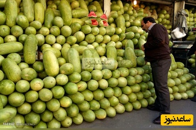هندوانه رسیده را چطور بشناسیم؟ | فوت‌وفن‌های خرید آسان و بدون پشیمانی + داستان چراییِ حضور هندوانه در بلندترین شب سال/ ببینید