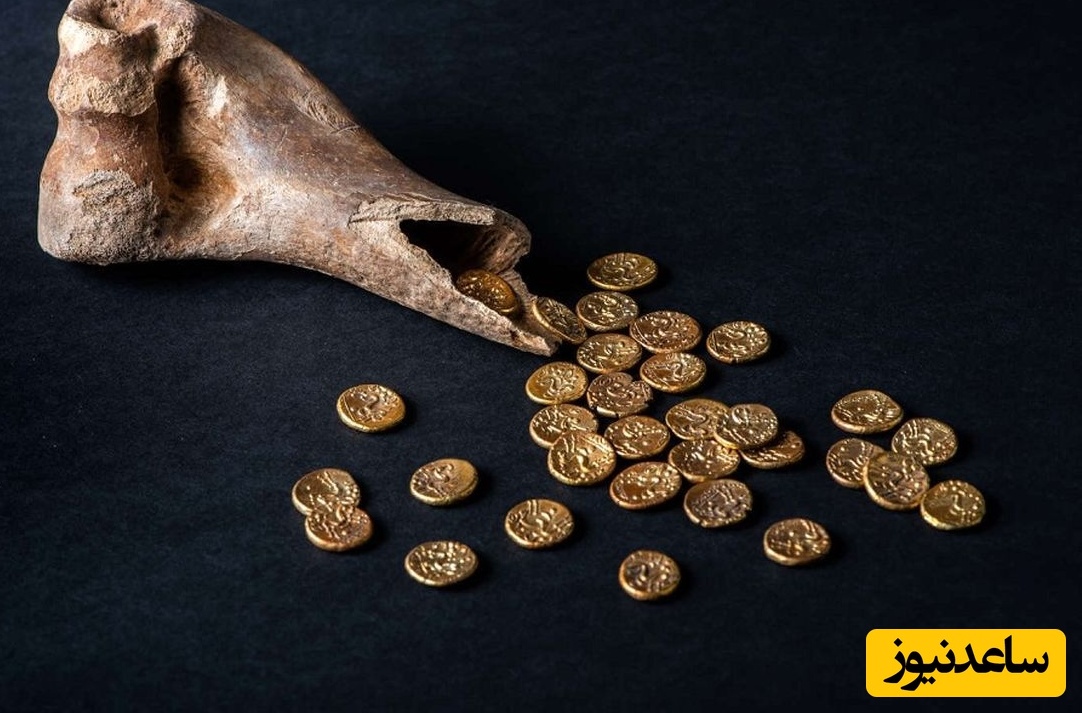 گنج سکّه‌های طلای 2 هزارساله که در «استخوان گاو» پنهان شده بود