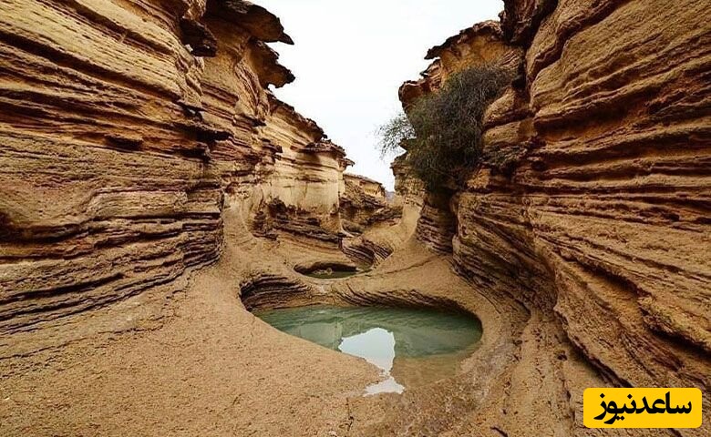 زیبایی های قشم