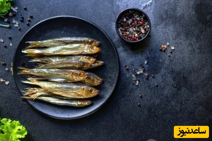 ماهی ساردین