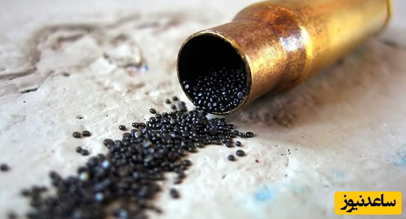 دیدن باروت در خواب چه تعبیری دارد؟ / تعبیر خواب باروت