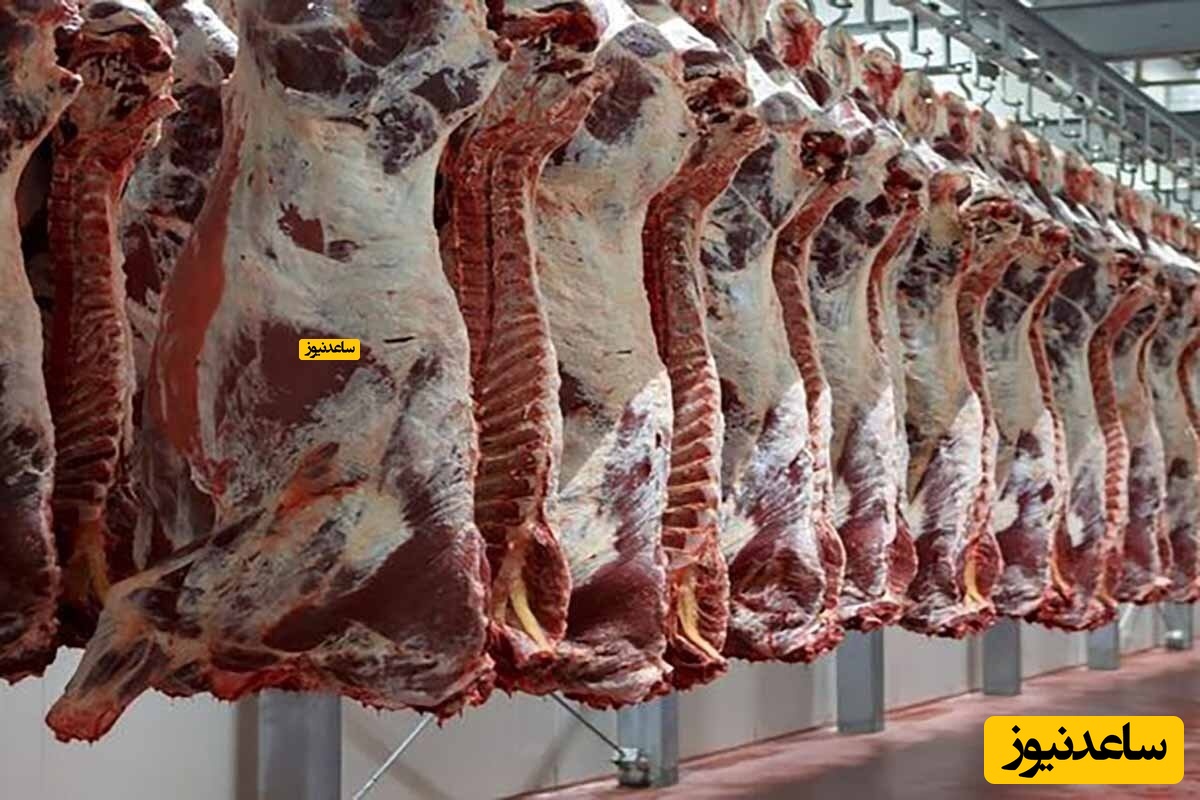 10 هزار تن گوشت منجمد وارد بنادر شد