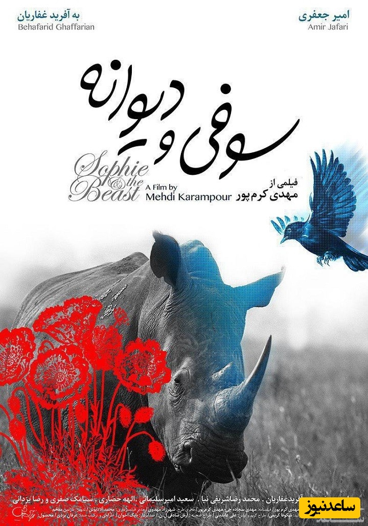 معرفی فیلم سوفی و دیوانه