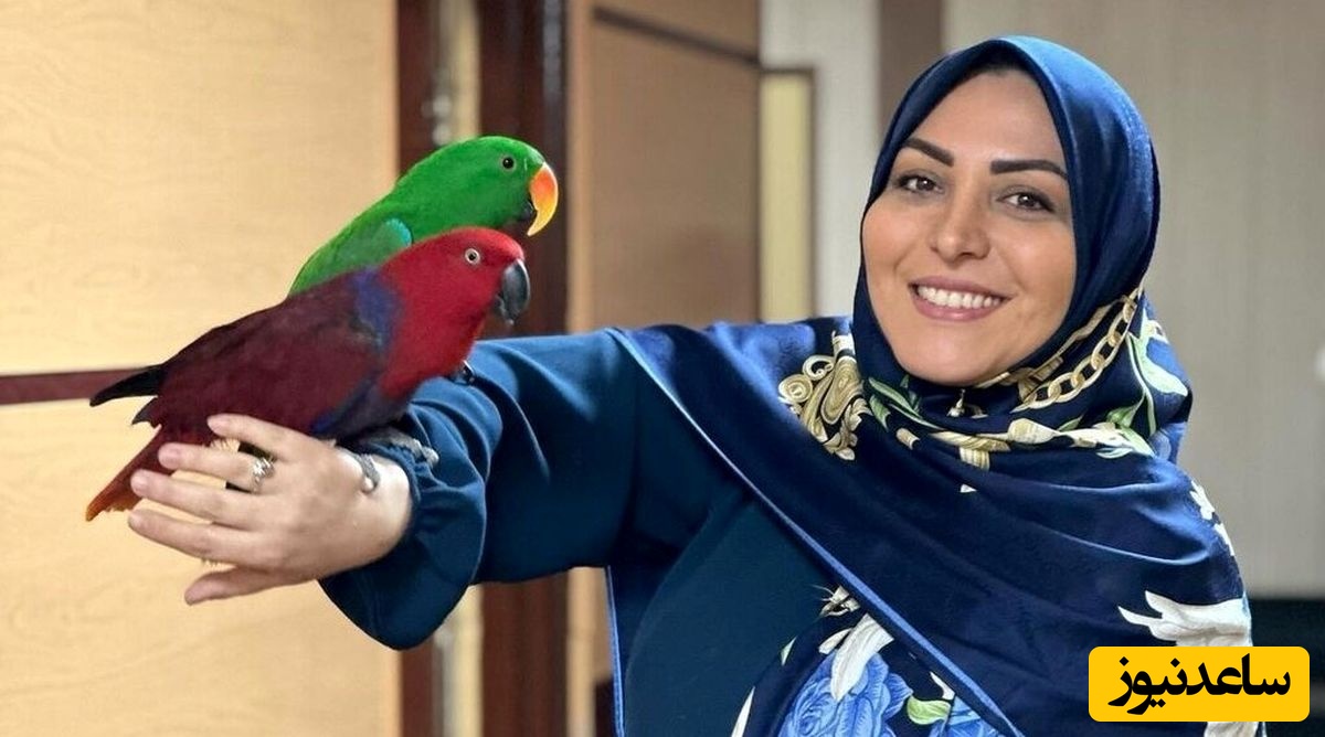 واکنش جالب المیرا شریفی مقدم، مجری تلویزیون به سگ های زنده یاب در آنتن زنده+ فیلم