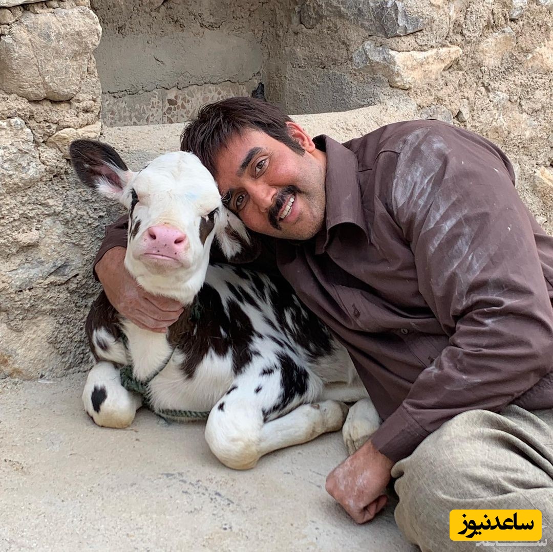  پوریا پورسرخ