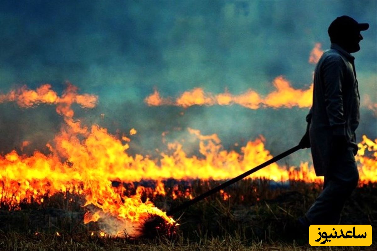 گل به خودی آبروبر؛ اسرائیل، اراضی کشاورزی سرزمین‌های خودش را به آتش کشید+عکس