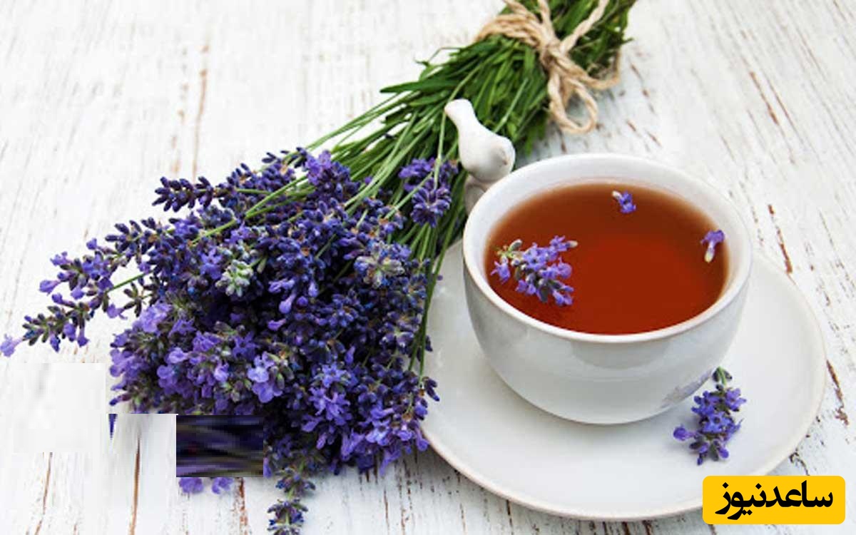 دمنوش گل مریم