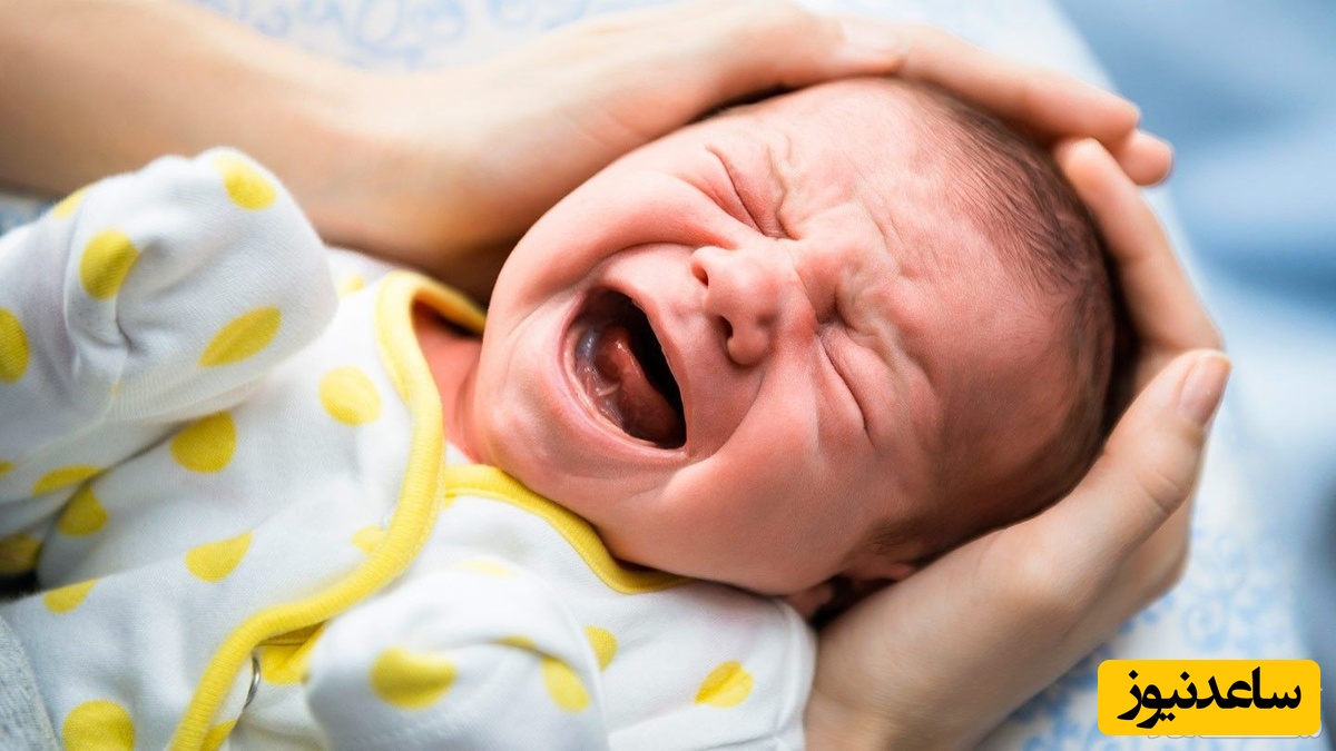 (عکس) مراقبت سگ مادر از نوزاد رها شده