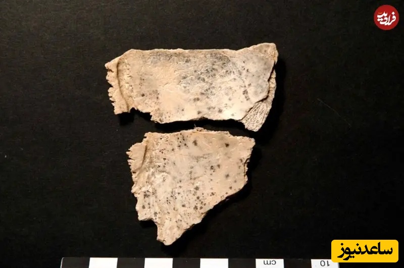 قطعات جمجمه ماقبلتاریخی یافتشده در غار مازیچکا، باستانشناسان را به آدمخواری مشکوک کرد