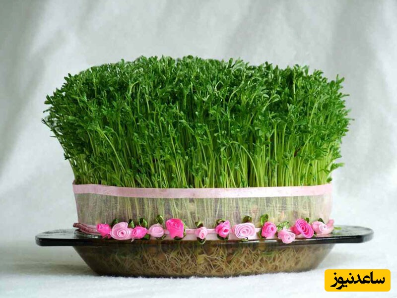 سبزه عید