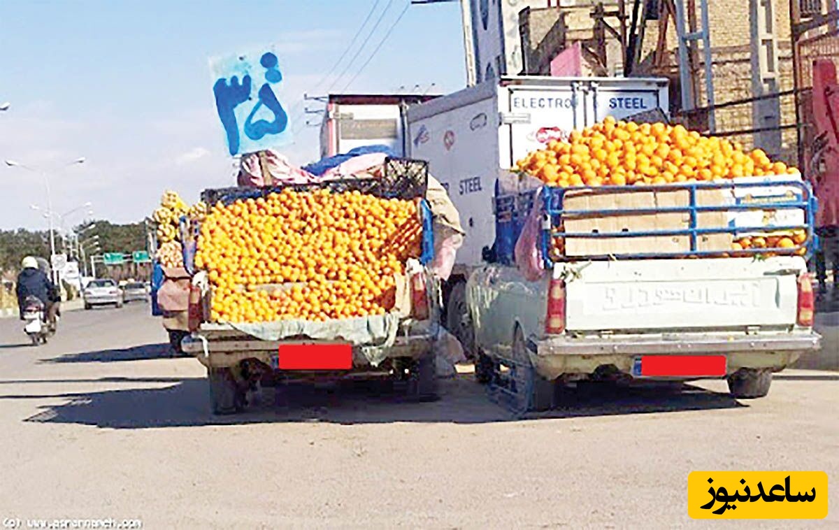 خلاقیت خنده دار پرتقلال فروش وانتی برای اعلام قیمت +عکس/ هنری که خیابان را ترکاند