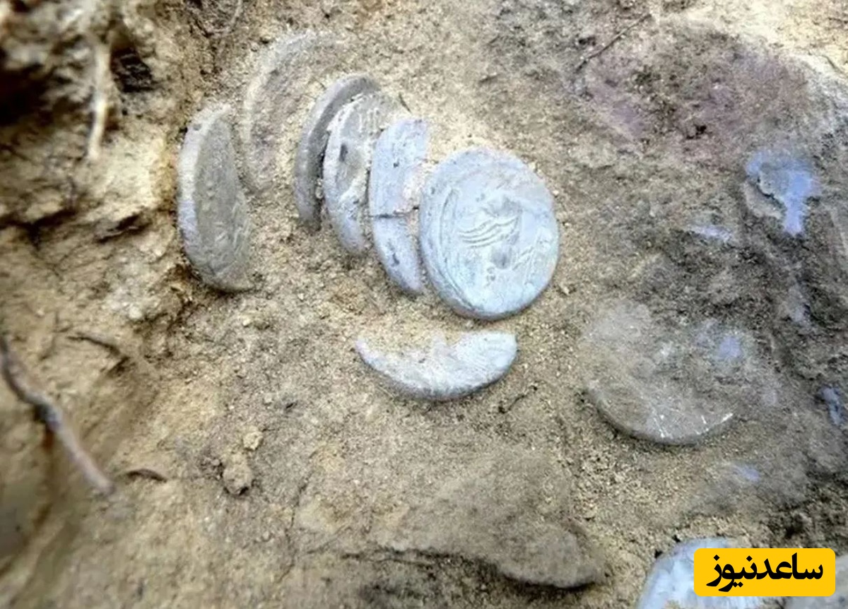 کشف گنجینۀ سکه‌هایی که در دوران روم باستان در جنگل دفن شده بودند