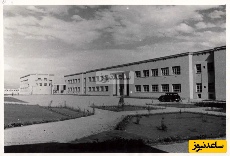 دانشگاه تهران