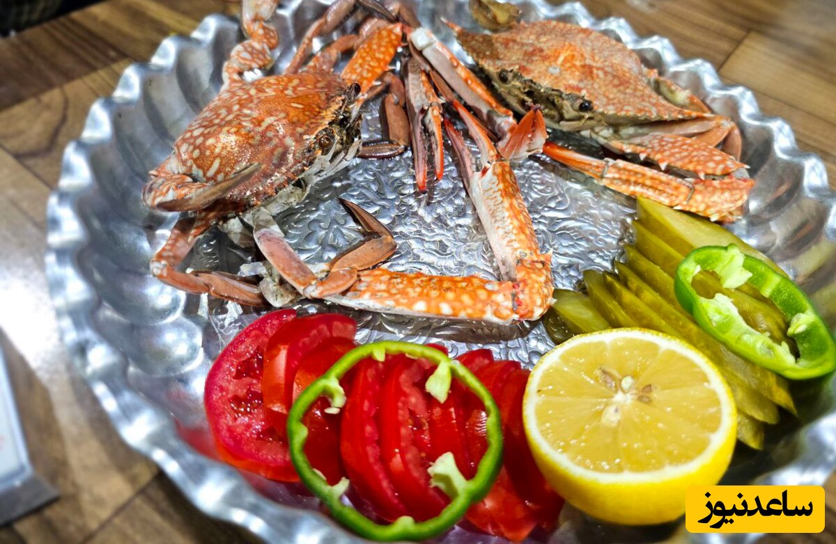 تزئین غذا