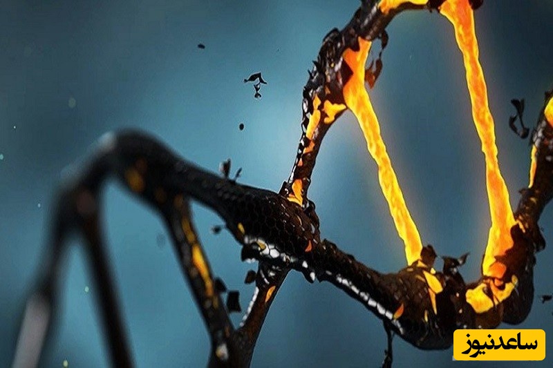 نقش زباله ژنتیکی در بقای ژنوم انسانی