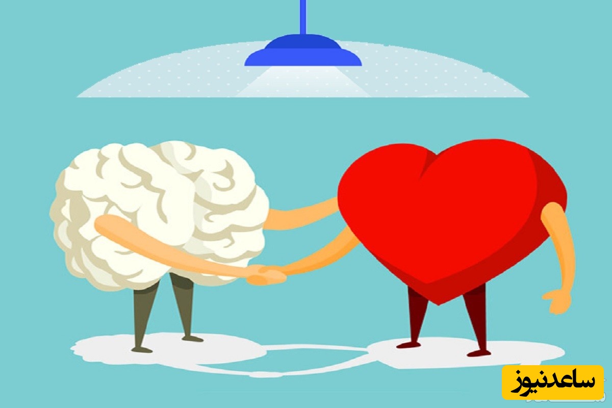 ارتباط بین هوش هیجانی بالا و پایداری رابطه عاطفی/ 6 تاثیر مهم که باید بدانید