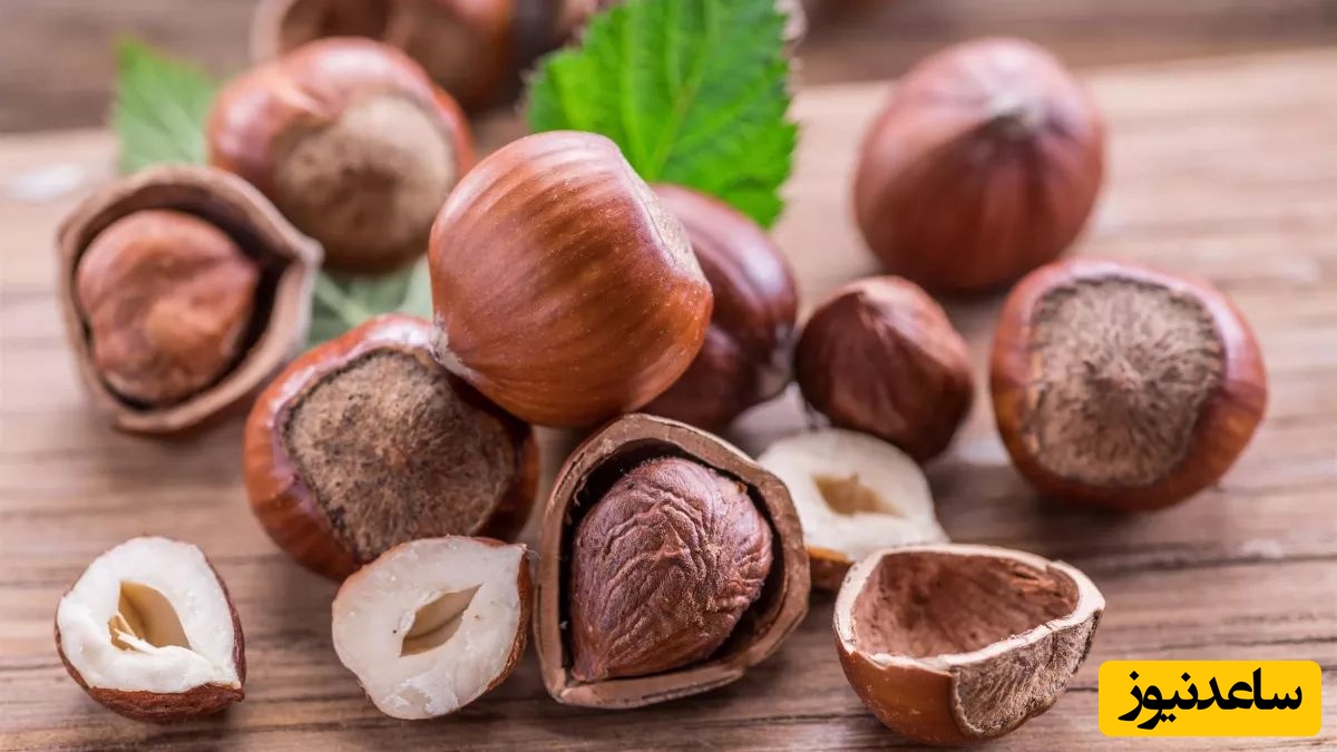 دیدن فندق در خواب چه تعبیری دارد؟ / تعبیر خواب فندق