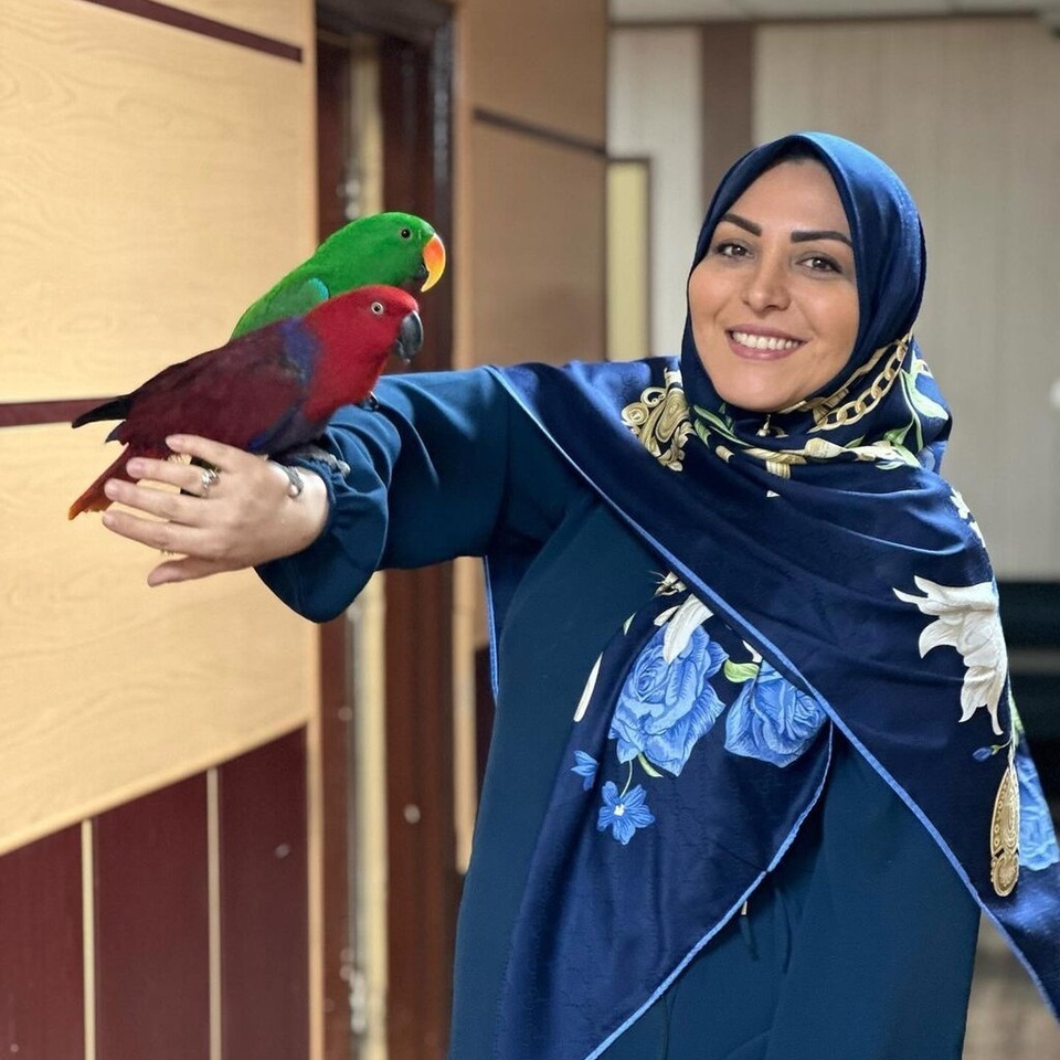 خنده های از ته دل المیرا شریفی مقدم و همسرش در یک شب نشینی دو نفره /ایشالله همیشه شاد باشین و بخندین😍😍