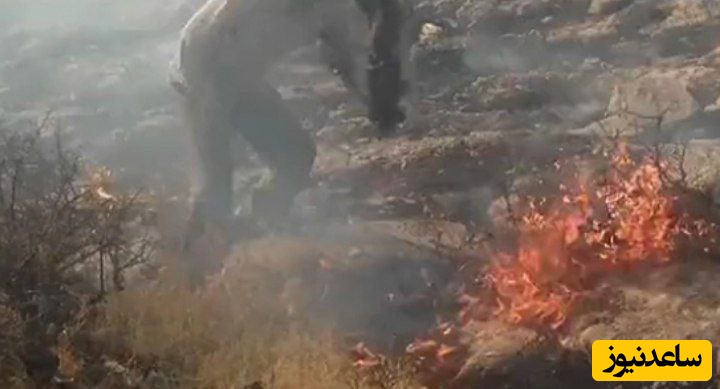 نبرد نفسگیر با شعله های آتش،دیزمار غربی / مصدومیت رئیس محیط زیست ملکان در تلاش برای مهار آتش سوزی مراتع دیزمار