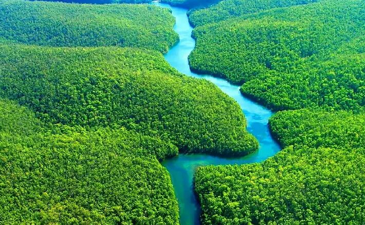 سفری به رودخانه حیرت‌انگیز آمازون + فیلم