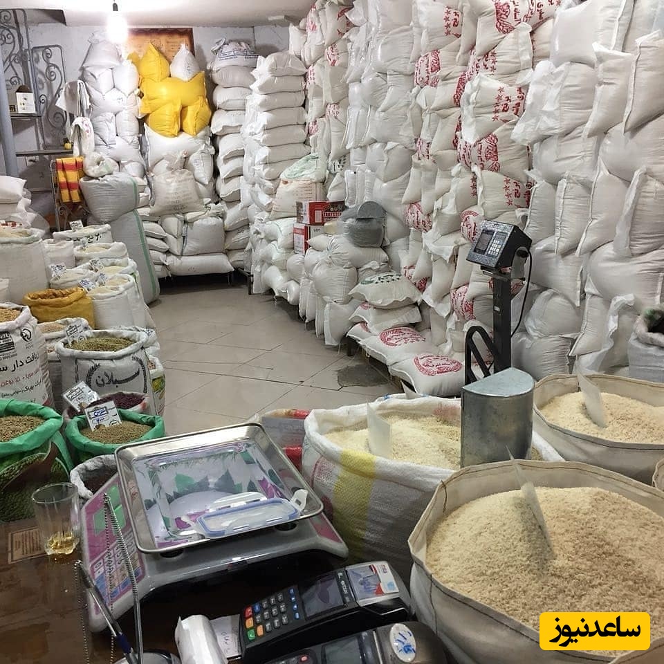 (فیلم) چرا برنج کیلویی 300 هزار تومان شد؟  / ماجرای پیش خرید برنج‌ها توسط یک عده و پول کمی که به کشاورز می‌رسد!