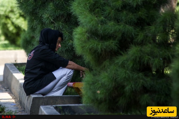 تهیه مواد مخدر در تهران چقدر طول می‌کشد؟؛ پاسخ شوکه‌کننده را ببینید!+ویدیو