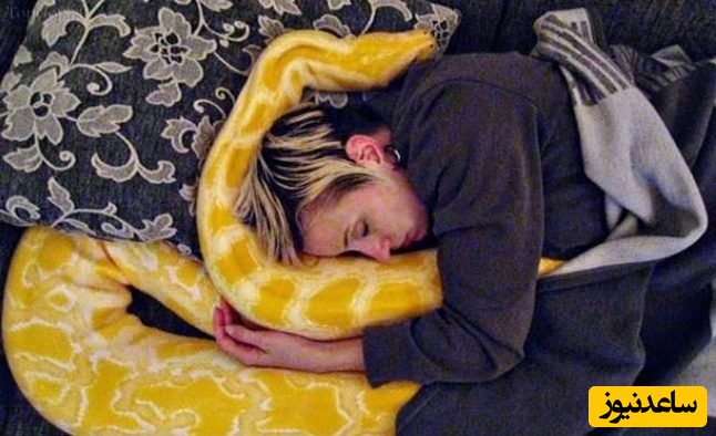 (ویدئو) ویژه علاقه مندان به مستند حیات وحش حیوانات/ لحظات دلهره آور و حشتناک حمله مار پیتون به زنی در خواب، خواهرم وصیتت رو نوشته بودی؟