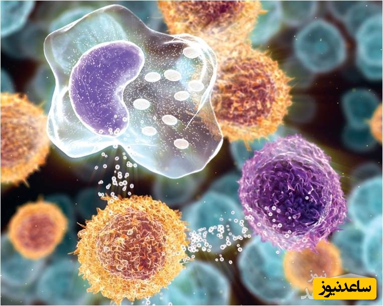 منابع و دروس رشته ایمنی شناسی و ضرایب آن در مقطع کارشناسی ارشد