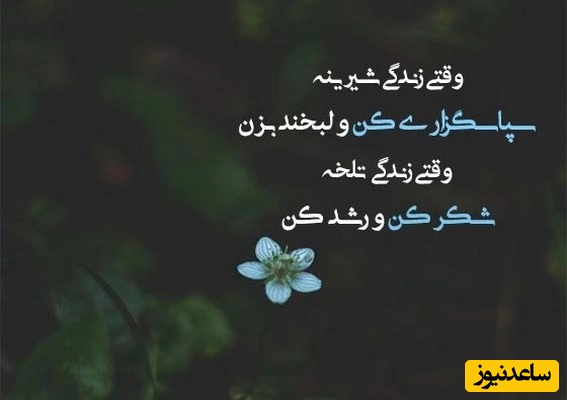 شکرگزاری صبحگاهی و تشکر از خداوند/ صبح فقط یک زمان از روز نیست.یک مجوز دوباره است مجوز برای اینکه دیروز را همان‌جا بگذاری، مجوز برای اینکه اشتباه‌هایت را حمل نکنی.../ شکرگزاری امروز 29 بهمن