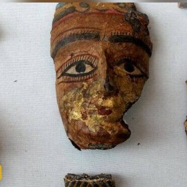 کشف موش‌های مومیایی شده در مقبره مصر