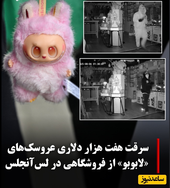 سرقت شبانه 7 هزار دلار عروسک لبوبو توسط دزدان نقاب‌دار / یجوری رفتن دزدی انگار میخوان بانک مرکزی رو بزنن + ویدئو