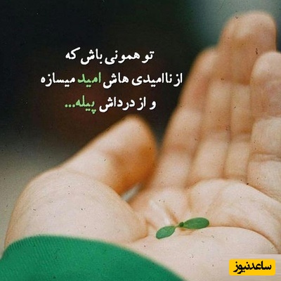 کائنات پیام ویژه ای برات داره/ یادت باشد تا وقتی نفس می‌کشی، امید هنوز زنده است و تا وقتی امید زنده است، هیچ داستانی به پایان نرسیده است/ پیام انگیزشی امروز 2 تیر 1405 + ویدئو