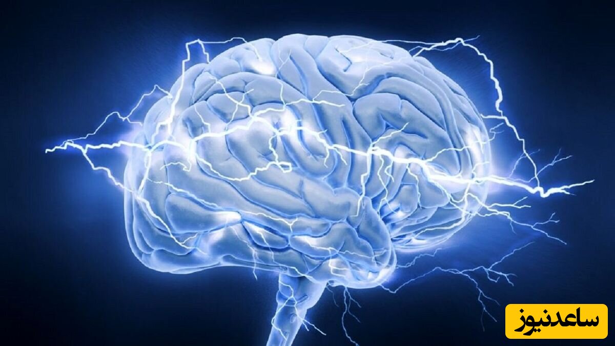 کار هوش مصنوعی به تشخیص جنسیت با اسکن مغز رسید!