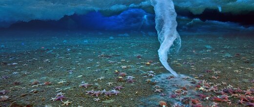 ظهور خوفناک «انگشت مرگ» در اعماق اقیانوس+ تصاویر عجیب