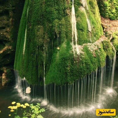 کبودوال آبشار خزه‌ای و عجیب در ایران + فیلم