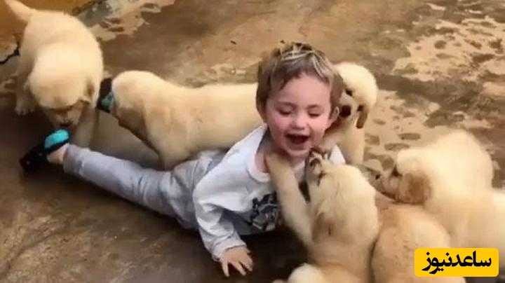ویدیوی لذت‌بخش از ادا بازی یک سگ برای خنداندن پسر کوچولو؛ چقدر بامزه بود نه؟😄