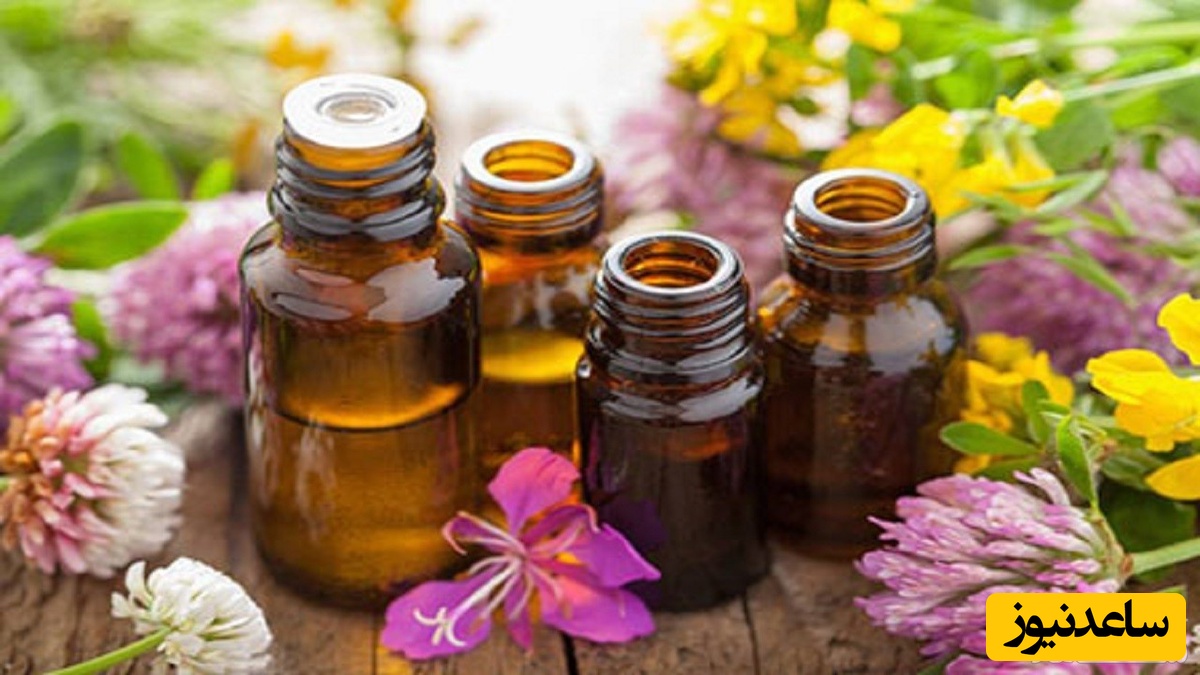 معرفی 6 روغن شگفت انگیز برای ماساژ بدن و صورت! + نکات جالب درباره ماساژ