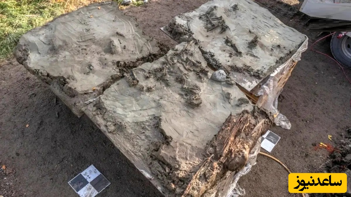 کشف قبر 5 هزارسالۀ یک سگ که همراه با خنجر دفن شده است+ عکس