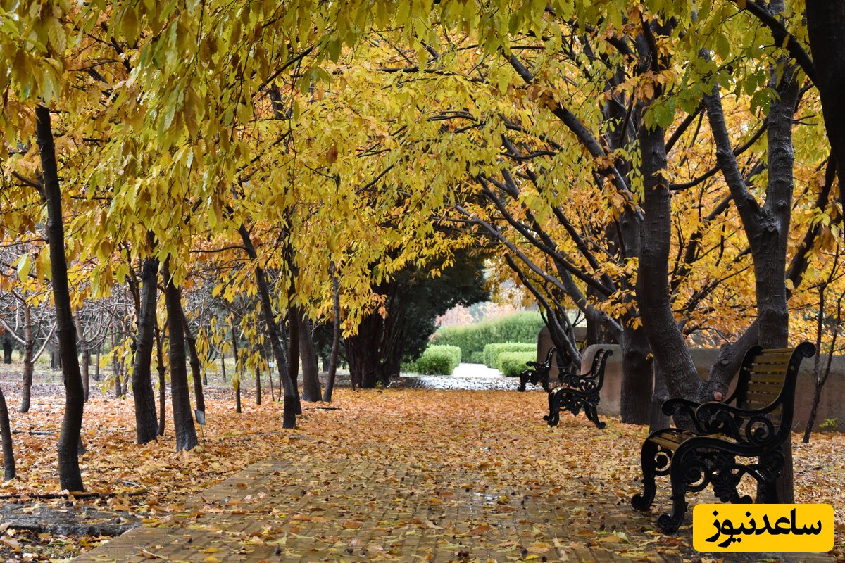 باغ گیاه شناسی