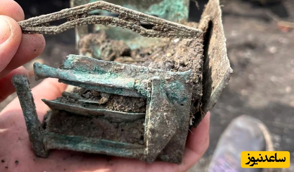 مردی که در خاک به دنبال «کرم» می‌گشت، «گنج سکّه‌های 800 ساله» را پیدا کرد