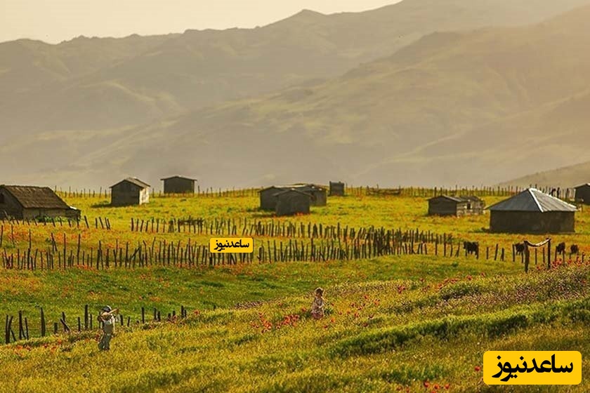 ییلاق شکردشت